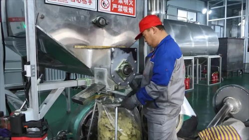 大豆加工緊鑼密鼓 力爭(zhēng)首季 開門紅